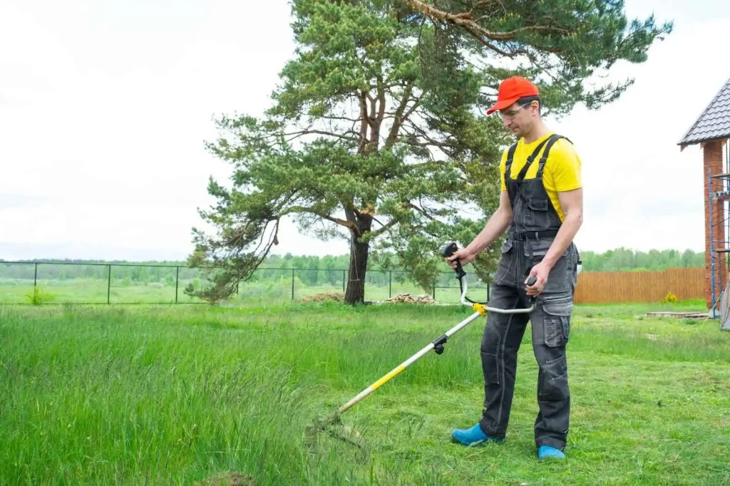 top rated landscape companies near me